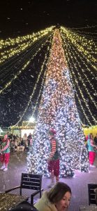 WhatsApp Image 2025-12-20 at 13.24.24