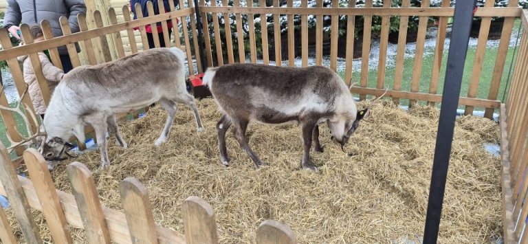 WhatsApp Image 2025-12-22 at 19.16.14