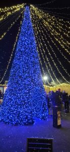 WhatsApp Image 2025dsdfs