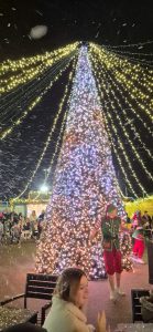 WhatsApp Image 20sssss4