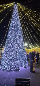 WhatsApp Isfsffs.24.22