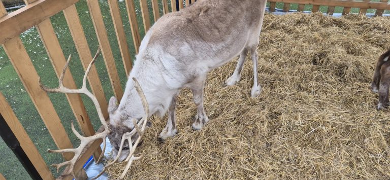 WhatsApp gggggg-22 at 19.16.14